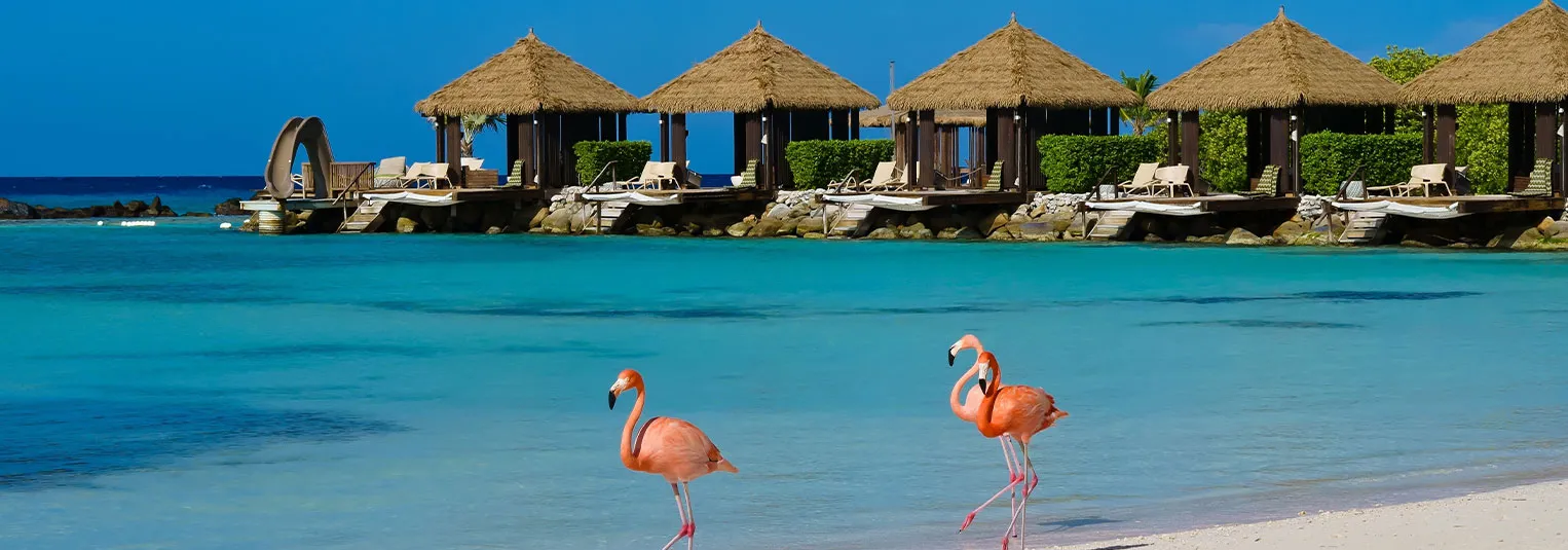 banner-aruba-ltinerary-guide-1